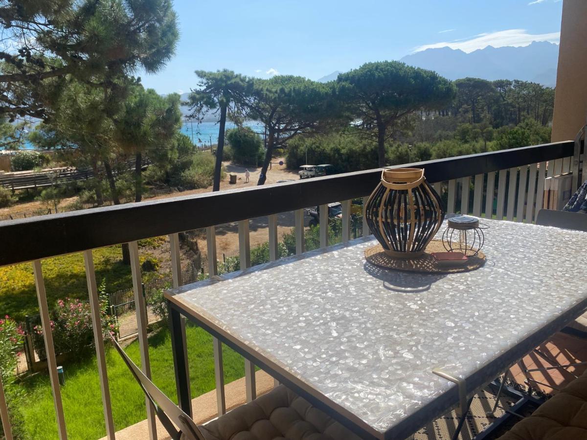 Appartement Ou Studio La Mer & La Plage A Vos Pieds Calvi Esterno foto
